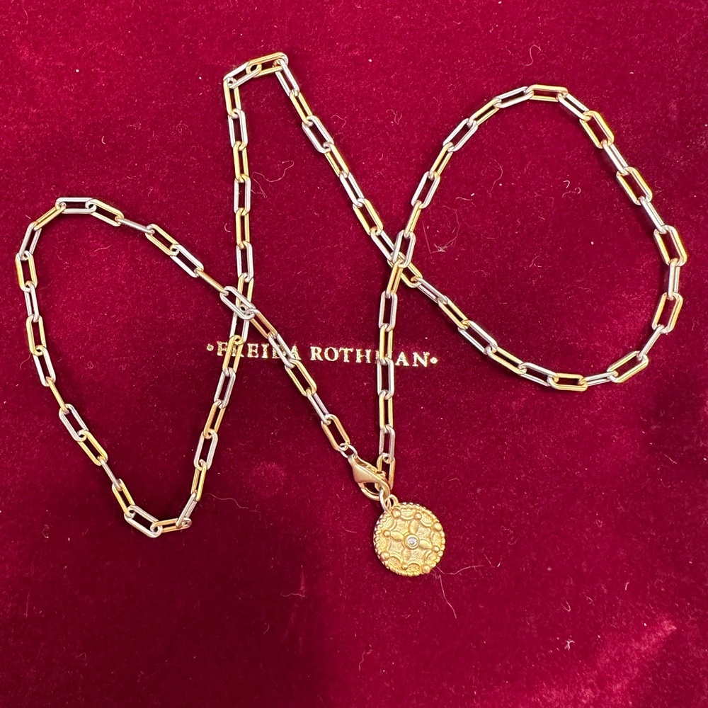 Freida Rothman paperclip 18” chain with alternating silver and gold links